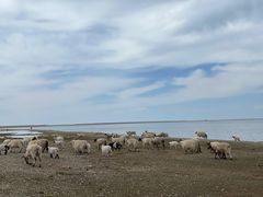 -青海湖国家重点风景名胜区