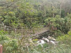 -海南热带雨林国家公园吊罗山景区