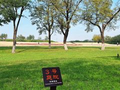 -汉长安城未央宫国家考古遗址公园