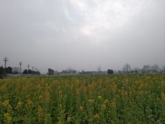 -中国天府农业博览园