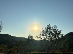 -黄埔油麻山森林公园