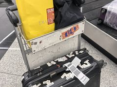 -谢列梅捷沃国际机场