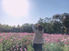-武清南湖绿博园