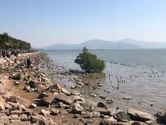 -深圳湾公园(南山区)