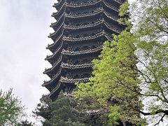 -北京大学百年讲堂