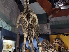 -湖南省地质博物馆