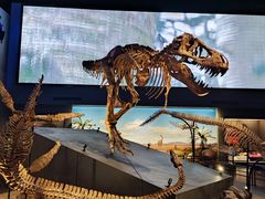 -贝林大翅鲸简餐厅(国家海洋博物馆店)