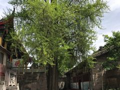 -金堂县云顶石城风景区