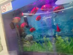 -雅悦齿科(顾村公园店)
