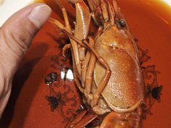 -新光酒家·河豚·海鲜·蟹料理(浦东店)