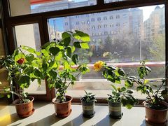 -六泰居·尔滨地标·东北菜(黄河路店)