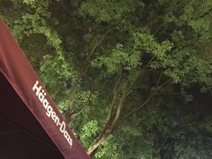 景观位-哈根达斯(武汉天地店)