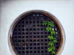 -慢丽江·云南野生菌土鸡锅(西山店)