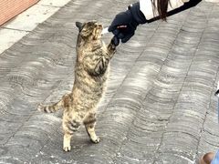 -终南山南五台景区