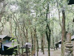 -富春桃源风景区