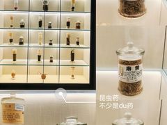 -广东中医药博物馆