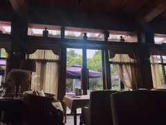 -一棵树·意大利西餐厅One Tree(新城店)