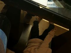 -安阳迎宾馆-普利亚西餐厅