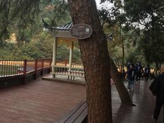 -石燕湖生态旅游景区