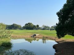 -银涛高尔夫练习场(徐泾店)