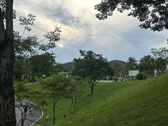-白石龙音乐公园