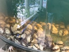 -同道蒸汽海鲜烧烤自助(刘庄夜市店)