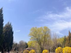 -东升八家郊野公园
