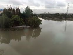 -卓玥国际月子会所(罗山路店)