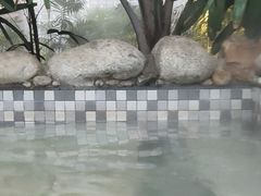 -三江森林温泉度假区