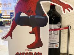 -金逸影城(中山远洋城IMAX店)
