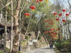 -子昂故里文化旅游区