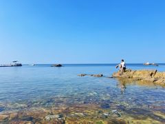 -养马岛旅游度假区