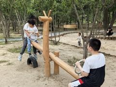 -绿堤公园
