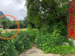 -生态苑农庄(十里画廊遇龙河店)