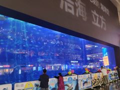 -成都浩海立方海洋公园
