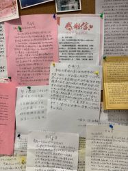 -复旦大学附属妇产科医院(黄浦院区)