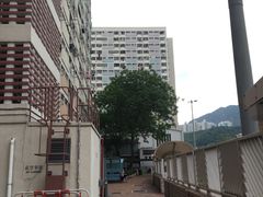 -彩虹村