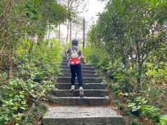 -千岛湖天屿景区