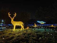 -云幽谷旅游区