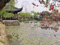 -无锡蠡湖国家湿地公园-蠡园