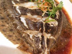 清蒸多宝鱼-大铁勺酒楼(宾水西道店)