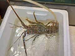 -沈家门小海鲜