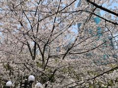 -陆家嘴中心绿地