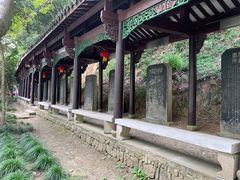 -严子陵钓台(富春江小三峡)