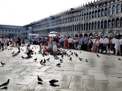 -圣马尔谷圣殿宗主教座堂