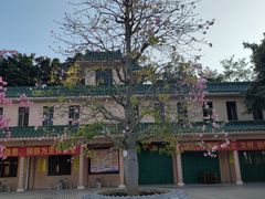 -广东圆玄道观