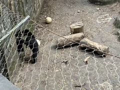 -杭州野生动物世界