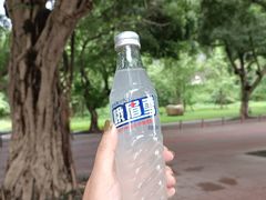 -王浩儿纪六孃甜皮鸭(乐山总店)