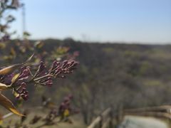 -大青沟风景区