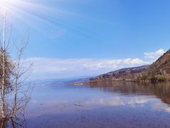 -阿斯牛牛十二餐厅•四季餐厅(民族大道店)